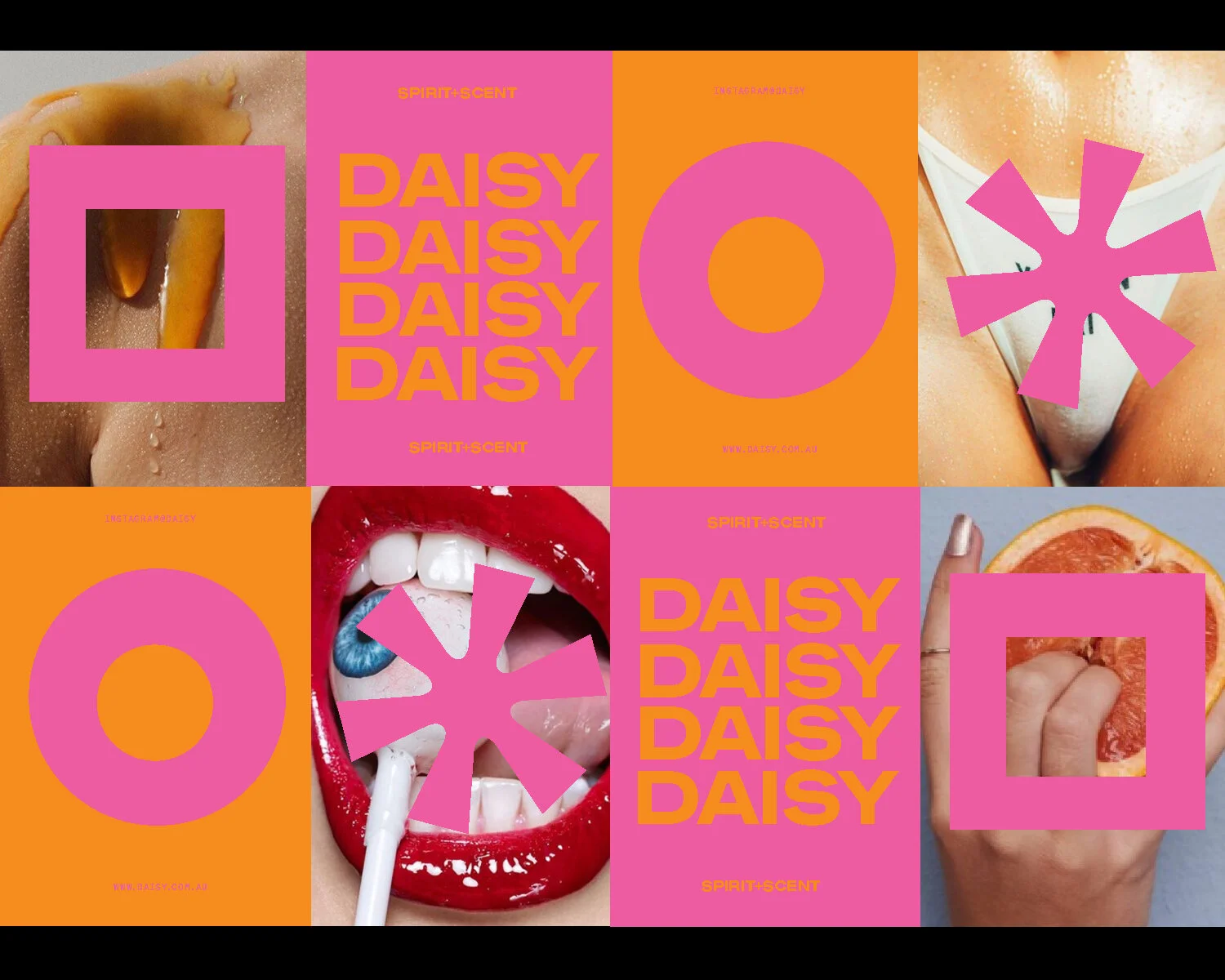 Daisy ページ DAISY — NICK BARCLAY DESIGNS